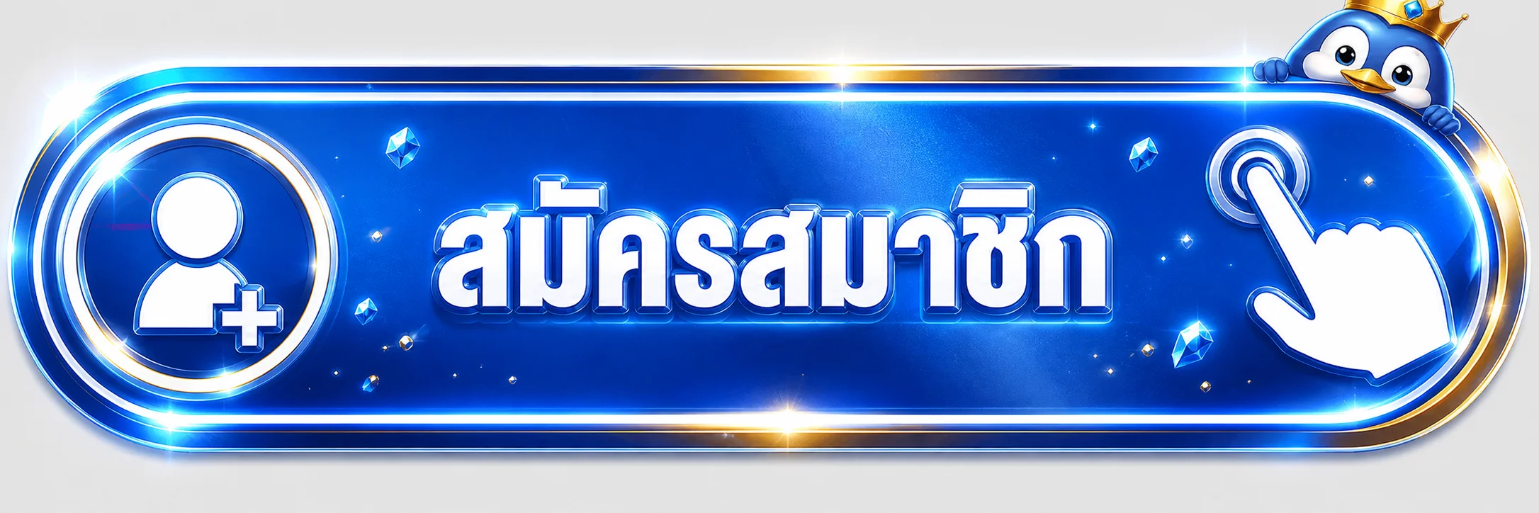 ปุ่มเข้าสู่ระบบสมาชิก NEW65